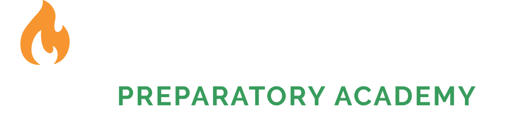 virstone logo